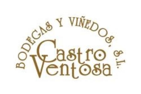 Castro Ventosa